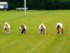 clubkampioenschappenspartacus016_small.jpg